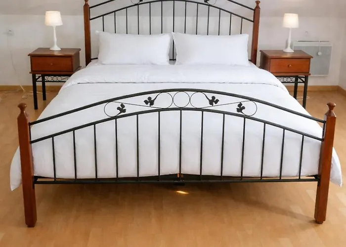 Le Petit Merle - Holiday home